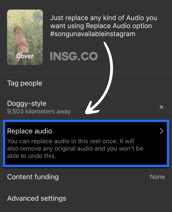 Instagram replace audio message: You can replace Audio in this reel once. It will also remove any original audio and you won't be able to undo this