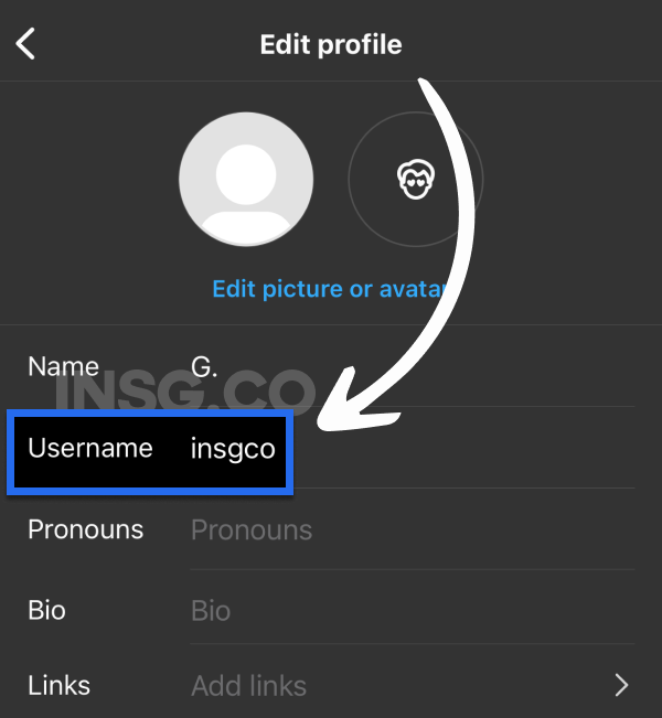 The Instagram username field where you can edit your URL on Mobile